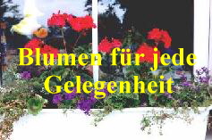 Blumenkasten